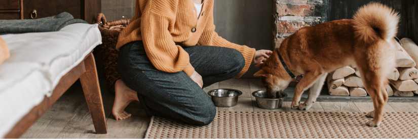 A Practical Guide to Monitoring Your Pet’s Health at Home