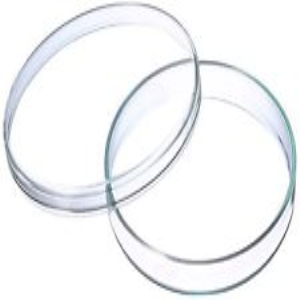 Livingstone Petri Dish
