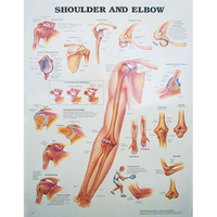Chart Shoulder and Elbow, Each Each