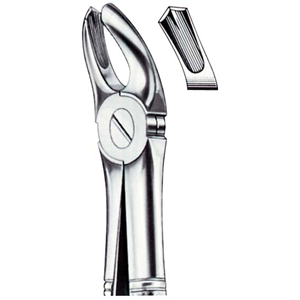 Livingstone Dental Extracting Forceps