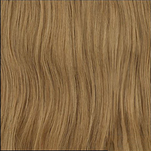 Secret Stylist Clip In Hair Extension