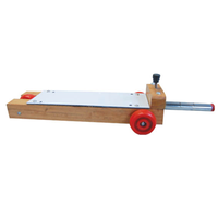 Livingstone Dynamic Trolley Cart Momentum Experiment