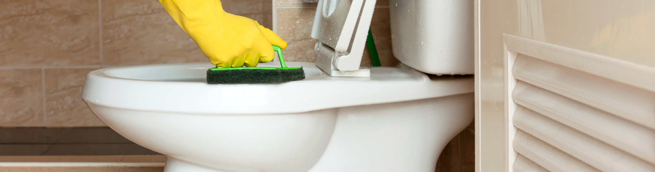 Cleaning & Waste Supplies > Cleaning Supplies > Scrubs, Sponges & Brushes