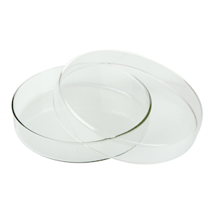 Lincon Petri Dish, 120 Diameter x 22 Height mm, with Lid, Borosilicate Glass, Each Each