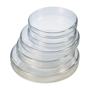 Lincon Petri Dish,120 Diameter x 22 Height mm, with Lid, Borosilicate Glass, 2/Box Box