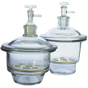 Livingstone Desiccator with Base