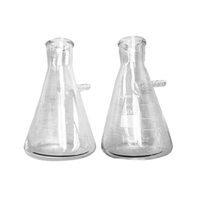 Lincon Filter Flask with Side Arm, 250ml, Glass, 2/Box Box