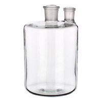 Simax Glass Woulff Bottle 2 Neck
