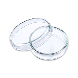 Paul Marienfeld Petri Dish