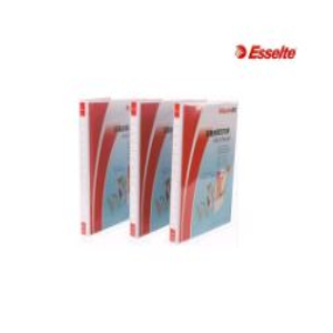 INSERT BINDER A4 3 D RING 50MMGREY ESSELTE EA Each