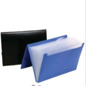 EXPANDING FILE F/C PP 12 POCKET EACH Each