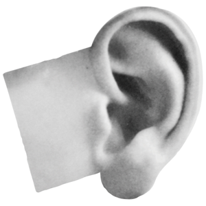 Caflon Blu Piercing Practice Ear, Foam Backing, Ea Each