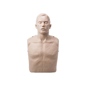 Brayden AdultManikin without Illumination, Each Each