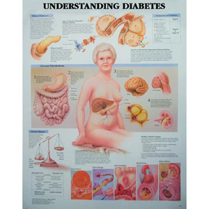 Chart Understanding Diabetes, Each Each