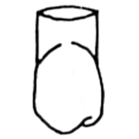 FRASACO TYPE CROWNS 142 5/PK Pack