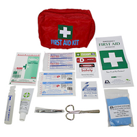 Livingstone Personal First Aid Kit, Complete Set In Nylon Pouch, Without Livingstone Logo Kit
