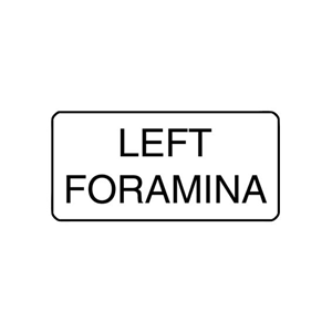 X-Ray Label 500/Box
