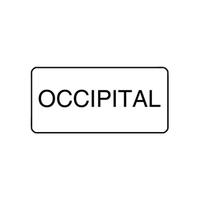 "OCCIPITAL" - X-RAY LABEL 500/BOX Box