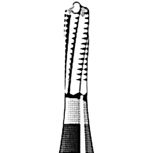 Jet 1957 Tungsten Carbide Burs, Fine, Cross Cut, Straight Fissure, Dome Friction Grip, 010, Each Each
