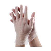 Out of Date, Guardian Vinyl Exam Gloves,Powder Free,Clear, 5.0g, Large,1000/ CT, Original Unopened Condition, While Stocks last Carton