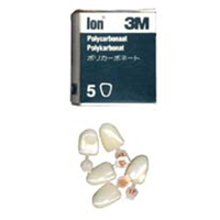 3M Polycarbonate Replacement Crowns, No P40, 5/Pack