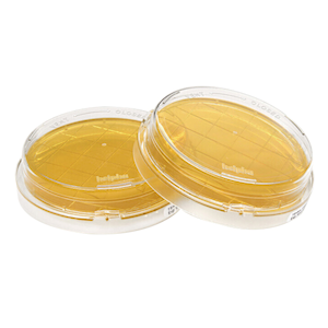 Milipore Neutraliser A Contact-ICR+ Plate, Triple Packed, Irradiated, 20 Plates/Pack Pack