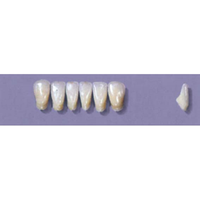 Myerson Anteriors #11/58 (1 x 6 Card), Each
