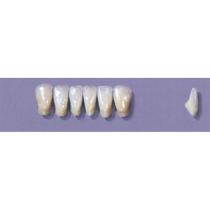 Myerson Anteriors #11/58 (1 x 6 Card), Each