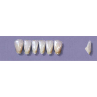 Myerson Anteriors #12/D (1 x 6 Card), Each