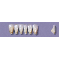 Myerson Anteriors #13/69 (1 x 6 Card), Each