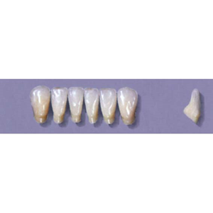 Myerson Anteriors #13/69 (1 x 6 Card), Each