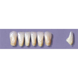 MYERSON ANTERIORS #16/G (1x6 CARD) Card