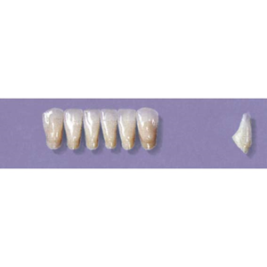 MYERSON ANTERIORS #3/58 (1x6 CARD) Card