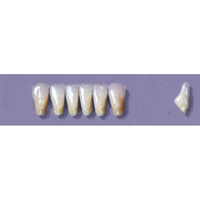 Myerson Anteriors, No 7/69, 6/Card