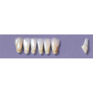 Myerson Anteriors #8/69 (1 x 6 Card), Each