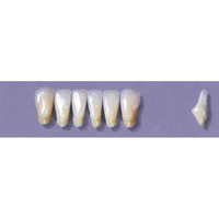 MYERSON ANTERIORS #8/73 (1x6 CARD) Card