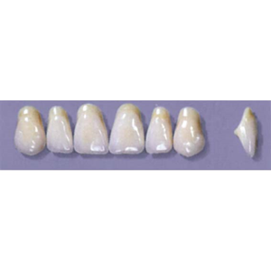 Myerson Anteriors #A11/70 (1 x 6 Card), Each