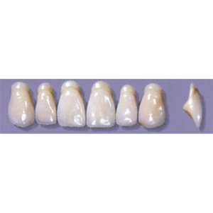 Myerson Anteriors #A13/58 (1 x 6 Card), Each