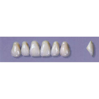 MYERSON ANTERIORS #A2/70 (1x6 CARD) Card