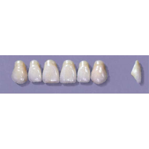 MYERSON ANTERIORS #A43/C (1x6 CARD) Card