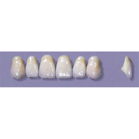 Myerson Anteriors #A44/I (1 x 6 Card), Each