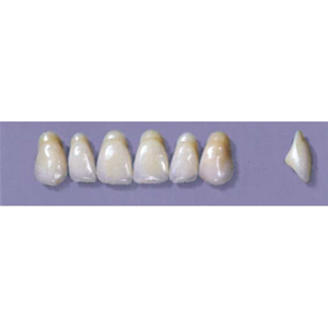 MYERSON ANTERIORS #A4/70 (1x6 CARD) Card