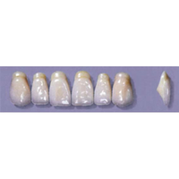 MYERSON ANTERIORS #A53/60 (1x6CARD) Card