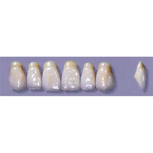 MYERSON ANTERIORS #A53/C (1x6 CARD) Card