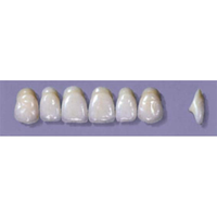 Myerson Anteriors #A64/58 (1 x 6 Card), Each