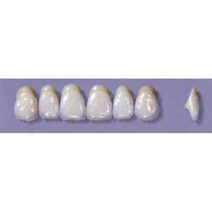 Myerson Anteriors #A64/58 (1 x 6 Card), Each