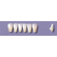 Myerson Anteriors, No A71/H, 6/Card