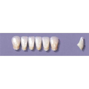 Myerson Anteriors, No A71/H, 6/Card