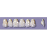Myerson Anteriors #A72/58 (1 x 6 Card), Each