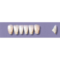 Myerson Anteriors #A73/58 (1 x 6 Card), Each